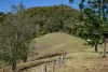 119 Perrys Road, Kidaman Creek QLD 4574-Image