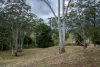 119 Perrys Road, Kidaman Creek QLD 4574-Image
