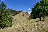 119 Perrys Road, Kidaman Creek QLD 4574-Image