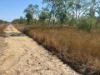 1191 Webb Road, Reid River QLD 4816-Image