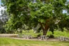 12 Concannon Road, Echunga, SA 5153-Image