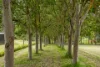 12 Concannon Road, Echunga, SA 5153-Image