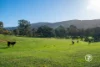 12  King Parrot Creek Road, Kerrisdale, Vic 3660-Image