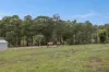 12 Wilsons Lane, Hickeys Creek, NSW 2440-Image