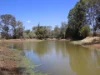 1201 Bundalba Road, Goovigen QLD 4702-Image