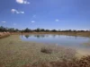 1201 Bundalba Road, Goovigen QLD 4702-Image