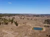 1201 Bundalba Road, Goovigen QLD 4702-Image
