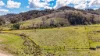 1201 Campbells Creek Road, Mudgee, NSW 2850-Image