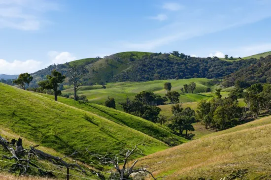 1208 Sawyers Gully Road, Mullion, NSW 2582