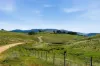 1208 Sawyers Gully Road, Mullion, NSW 2582-Image