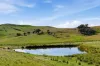 1208 Sawyers Gully Road, Mullion, NSW 2582-Image