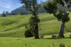1208 Sawyers Gully Road, Mullion, NSW 2582-Image