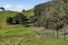 1208 Sawyers Gully Road, Mullion, NSW 2582-Image