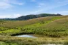 1208 Sawyers Gully Road, Mullion, NSW 2582-Image