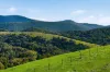 1208 Sawyers Gully Road, Mullion, NSW 2582-Image