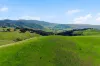1208 Sawyers Gully Road, Mullion, NSW 2582-Image
