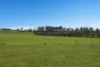 121 Ceres Road, Mount Seymour, Tas 7120-Image