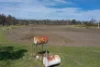 121 Ceres Road, Mount Seymour, Tas 7120-Image
