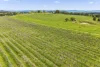 122 Bluebell Lane, Murrumbateman, NSW 2582-Image