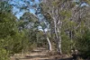 122 Eucalypt Lane, High Range, NSW 2575-Image