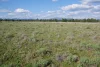 123 Mccutcheon Lane, Narrabri, NSW 2390-Image
