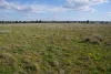 123 Mccutcheon Lane, Narrabri, NSW 2390-Image