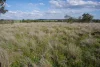 123 Mccutcheon Lane, Narrabri, NSW 2390-Image