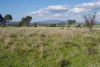 123 Mccutcheon Lane, Narrabri, NSW 2390-Image