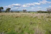 123 Mccutcheon Lane, Narrabri, NSW 2390-Image