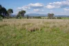 123 Mccutcheon Lane, Narrabri, NSW 2390-Image