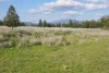 123 Mccutcheon Lane, Narrabri, NSW 2390-Image