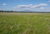 123 Mccutcheon Lane, Narrabri, NSW 2390-Image
