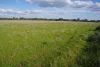 123 Mccutcheon Lane, Narrabri, NSW 2390-Image