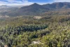 123 Murrabrine Forest Road, Yowrie, NSW 2550-Image