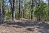 123 Murrabrine Forest Road, Yowrie, NSW 2550-Image