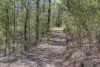 123 Murrabrine Forest Road, Yowrie, NSW 2550-Image