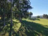 1240 Bullumwaal Road, Mount Taylor, Vic 3875-Image