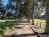 1240 Bullumwaal Road, Mount Taylor, Vic 3875-Image