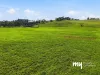 125 Carrolls Road, Menangle, NSW 2568-Image