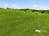 125 Carrolls Road, Menangle, NSW 2568-Image
