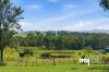 125 Carrolls Road, Menangle, NSW 2568-Image