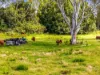 125 River Bank Road, Wyrallah, NSW 2480-Image