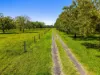 125 River Bank Road, Wyrallah, NSW 2480-Image