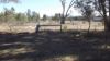 1250 Lynchs Crossing Road, Glenthompson VIC 3293-Image