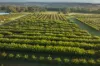 1266 George Downes Drive, Kulnura, NSW 2250-Image