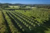 1266 George Downes Drive, Kulnura, NSW 2250-Image