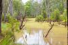 127 Butlers Road, Miles QLD 4415-Image