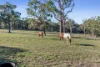 127 Midway Road, Mandalong, NSW 2264-Image