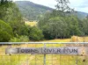 127 Tobins River Road, Mount Seaview, NSW 2446