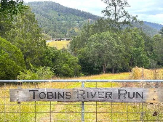 127 Tobins River Road, Mount Seaview, NSW 2446